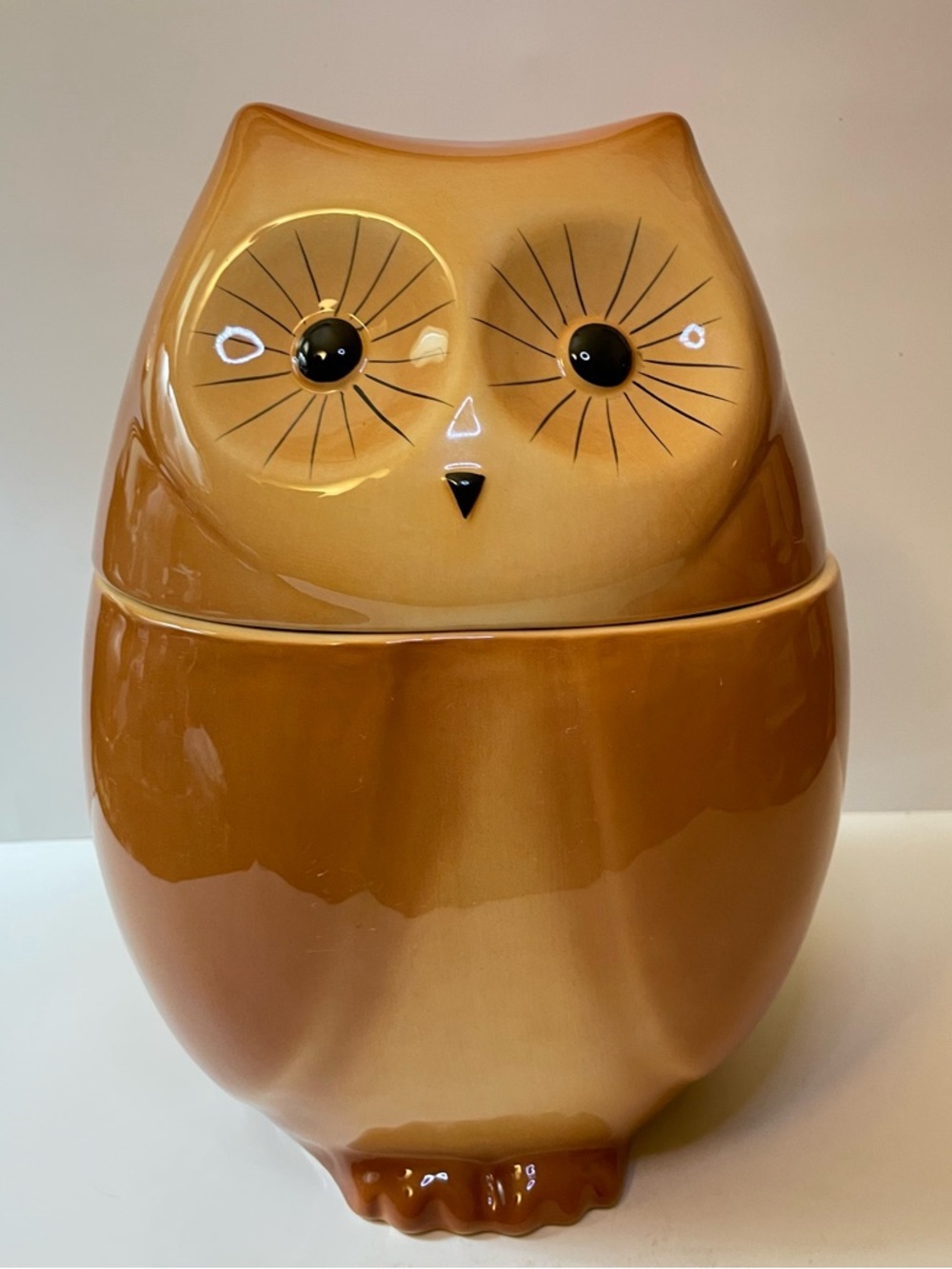 Vintage Retro American Ceramic Owl Cookie Jar